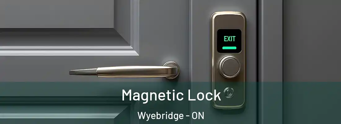  Magnetic Lock Wyebridge - ON