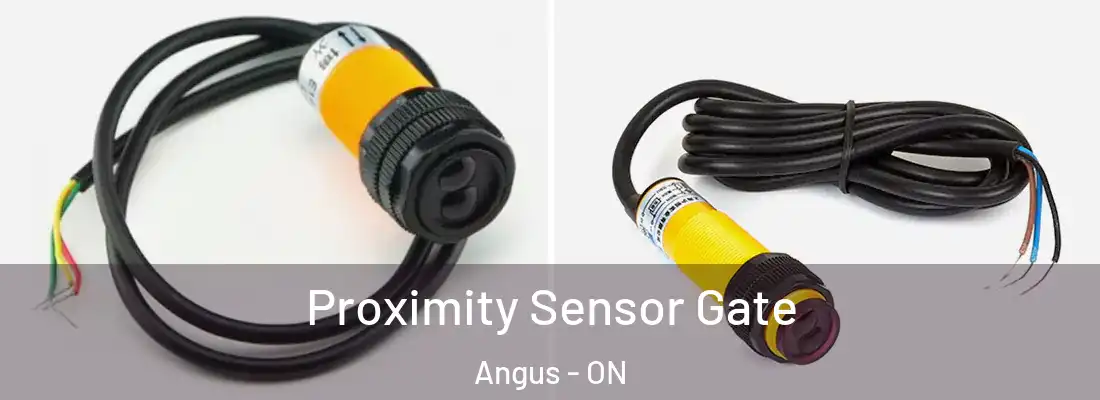  Proximity Sensor Gate Angus - ON