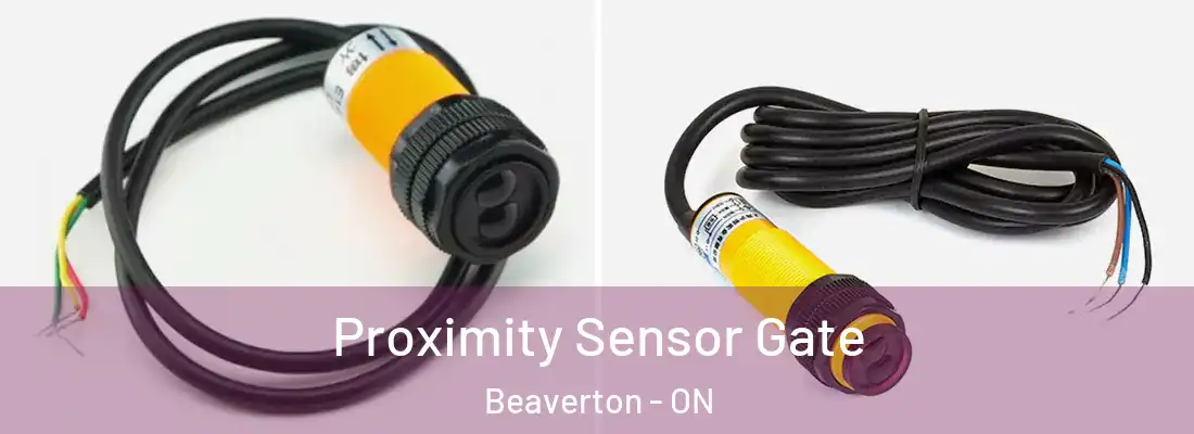  Proximity Sensor Gate Beaverton - ON