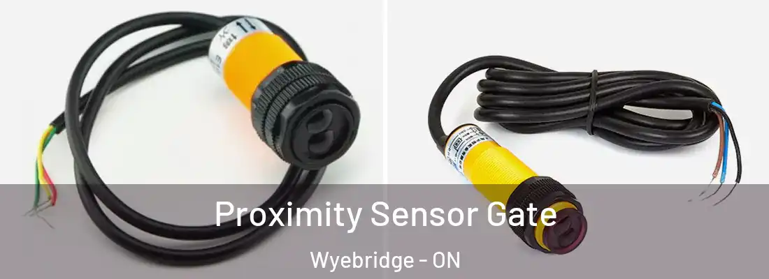  Proximity Sensor Gate Wyebridge - ON