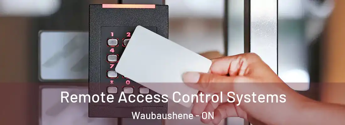 Remote Access Control Systems Waubaushene - ON