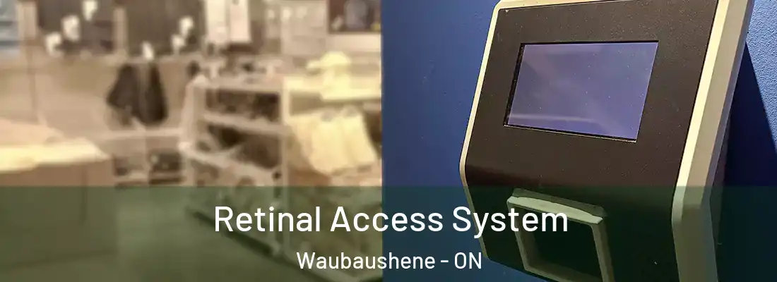 Retinal Access System Waubaushene - ON