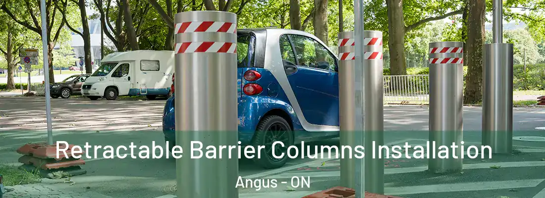  Retractable Barrier Columns Installation Angus - ON