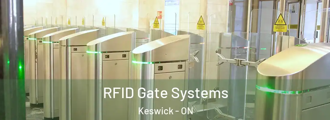  RFID Gate Systems Keswick - ON