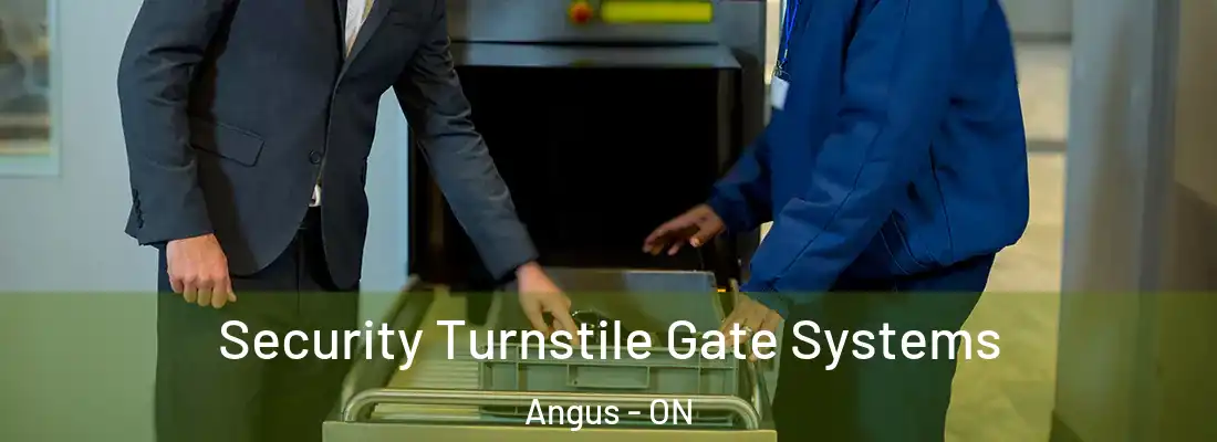  Security Turnstile Gate Systems Angus - ON