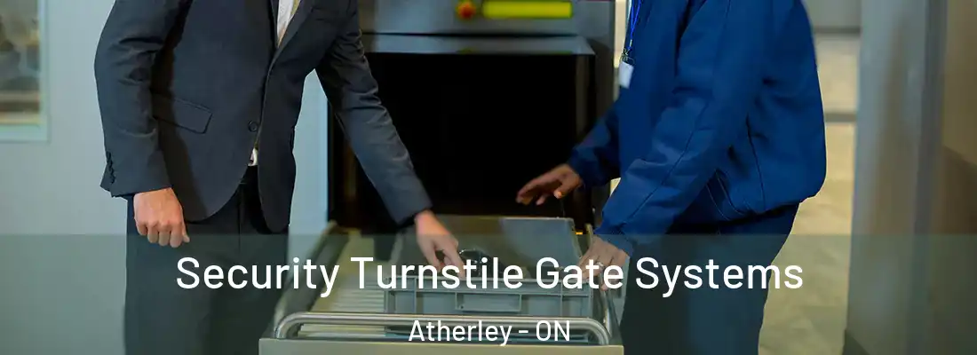 Security Turnstile Gate Systems Atherley - ON