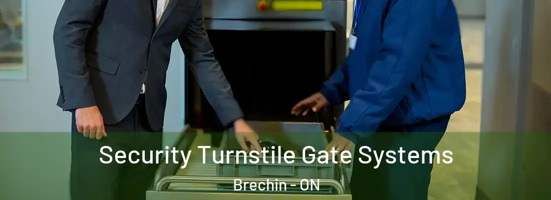  Security Turnstile Gate Systems Brechin - ON
