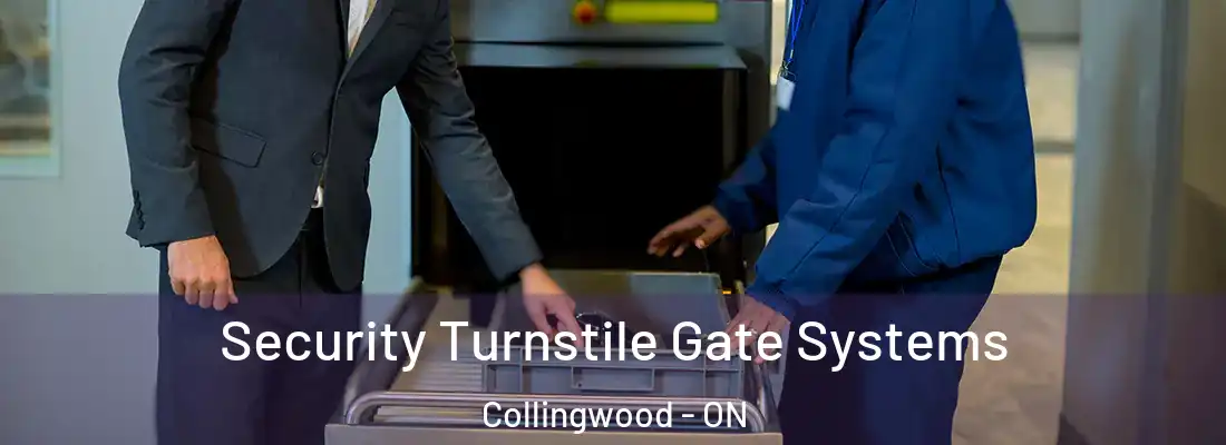  Security Turnstile Gate Systems Collingwood - ON