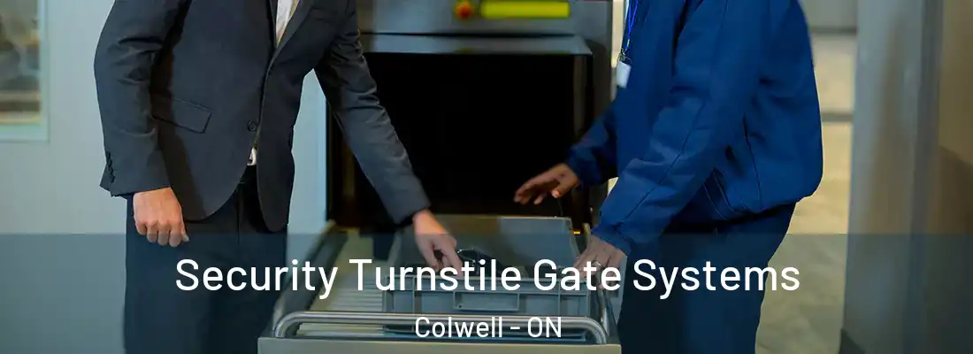 Security Turnstile Gate Systems Colwell - ON