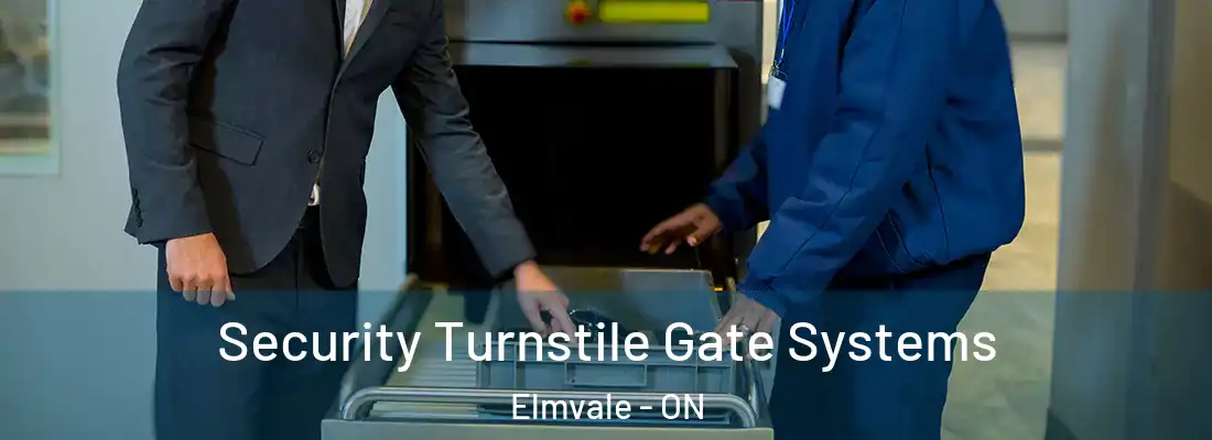  Security Turnstile Gate Systems Elmvale - ON