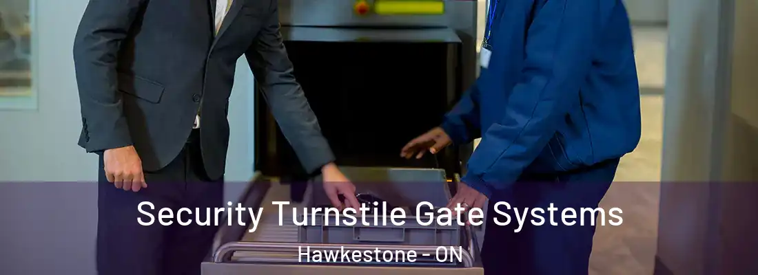  Security Turnstile Gate Systems Hawkestone - ON