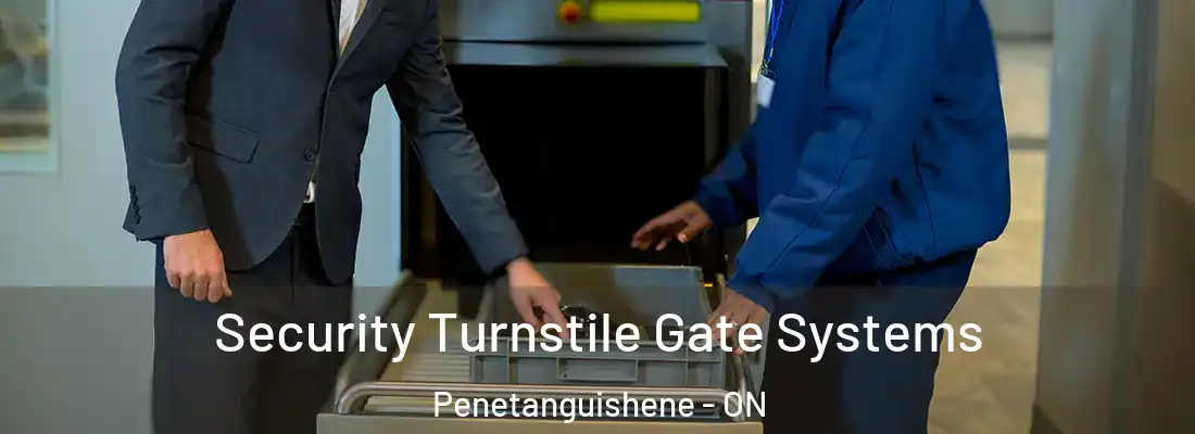  Security Turnstile Gate Systems Penetanguishene - ON