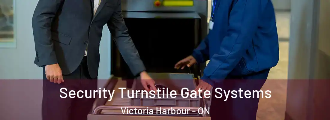  Security Turnstile Gate Systems Victoria Harbour - ON