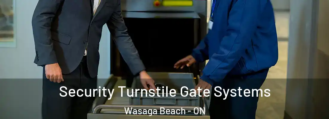  Security Turnstile Gate Systems Wasaga Beach - ON
