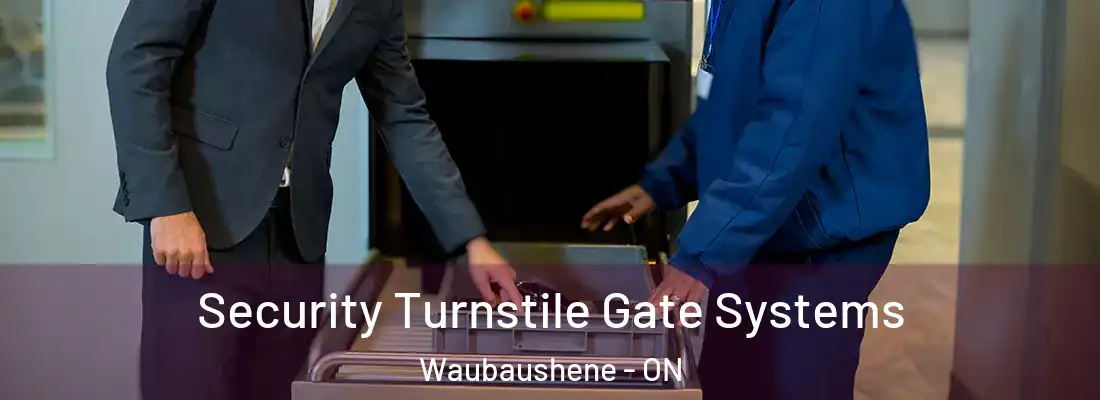  Security Turnstile Gate Systems Waubaushene - ON