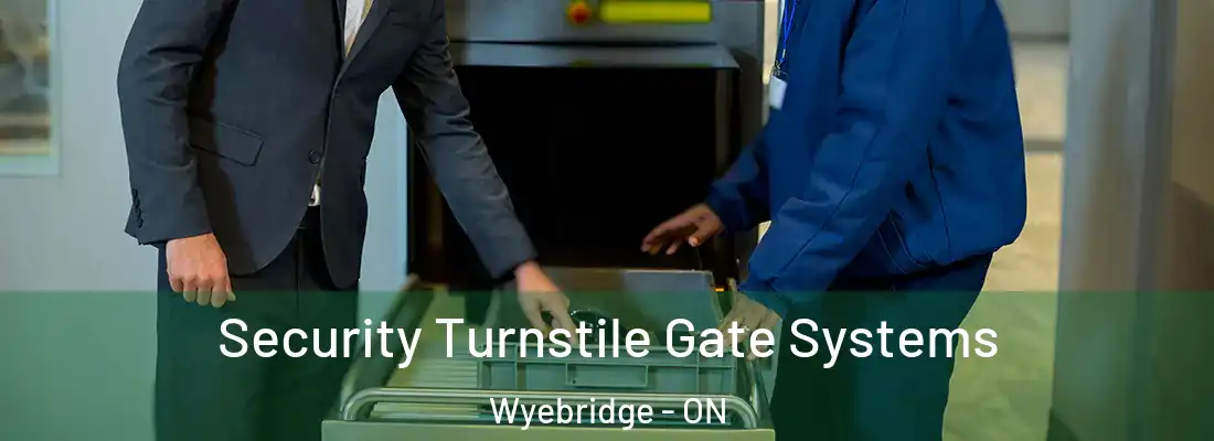 Security Turnstile Gate Systems Wyebridge - ON