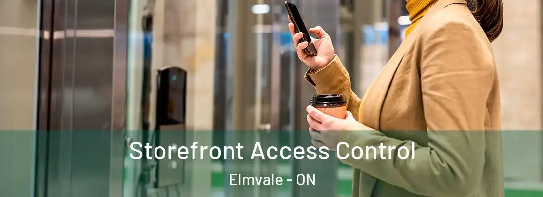 Storefront Access Control Elmvale - ON