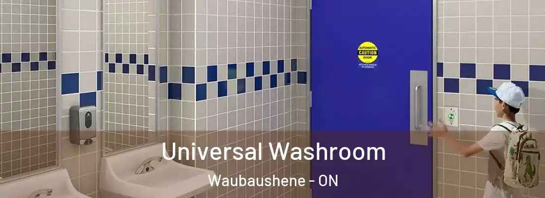  Universal Washroom Waubaushene - ON