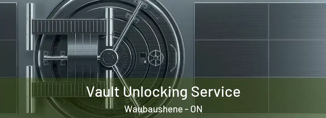  Vault Unlocking Service Waubaushene - ON
